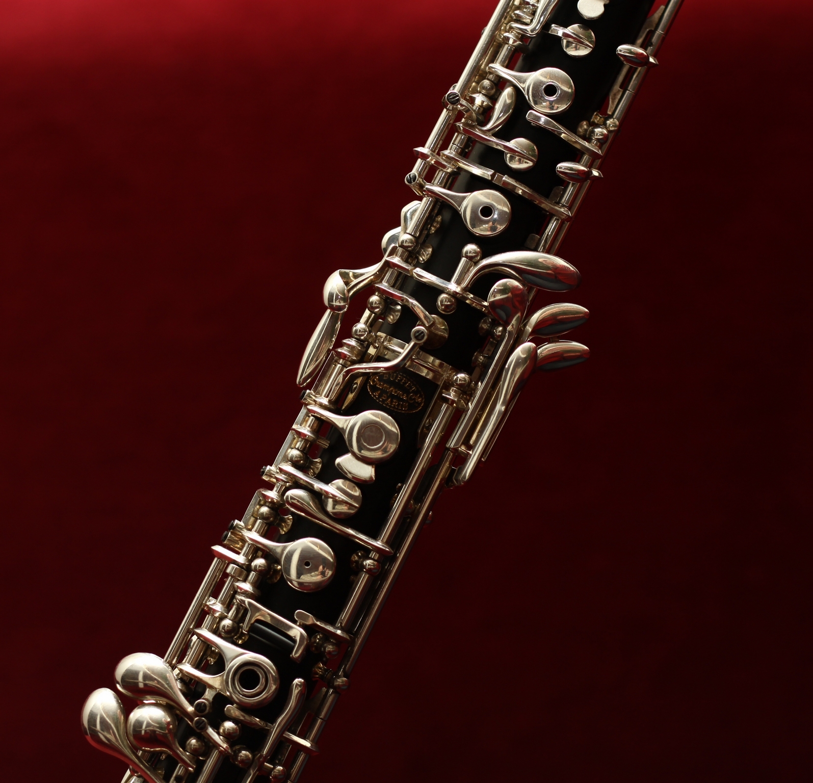Clarinetti a Villa Miari Fulcis